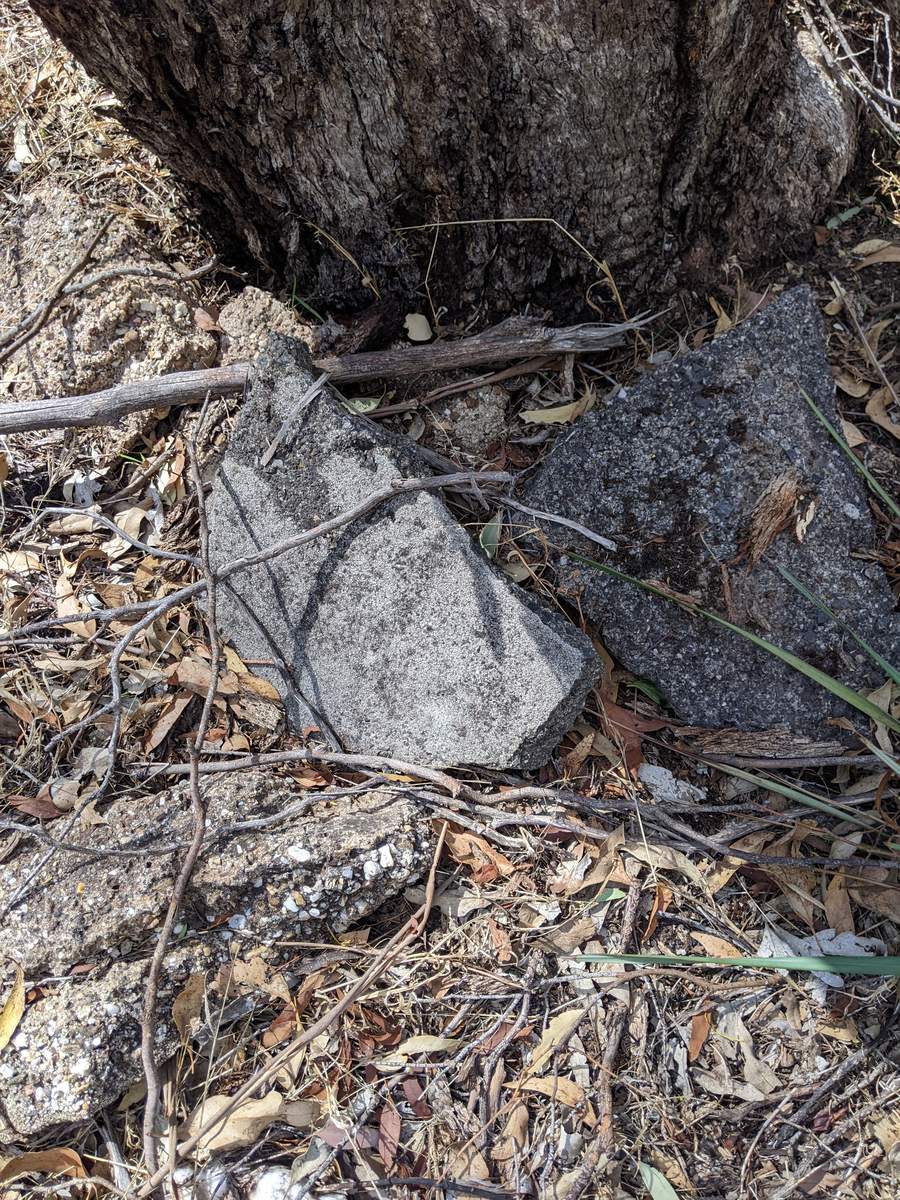 A displaced headstone fragment at the base of a tree in disturbed ground.