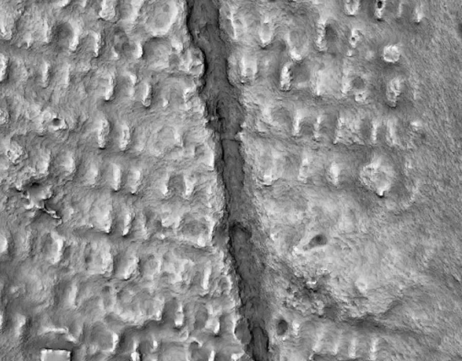 LiDAR scan data revealing rows of grave depressions beneath bushland cover.